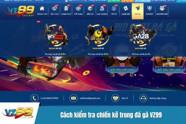Cách kiểm tra chiến kê trong đá gà VZ99