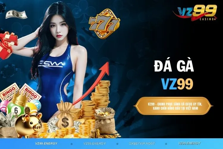 Đá Gà VZ99 – Sảnh Cược Uy Tín Được Nhiều Người Lựa Chọn