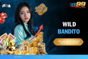 Wild Bandito Và Hành Trình Săn Kho Báu Đầy Kịch Tính