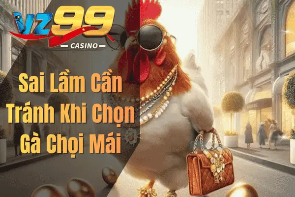 Cách Chọn Gà Chọi Mái Đẹp Theo Kinh Nghiệm Sư Kê Sai Lầm Cần Tránh Khi Chọn Gà Chọi Mái