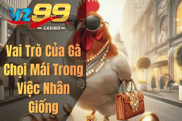 Cách Chọn Gà Chọi Mái Đẹp Theo Kinh Nghiệm Sư Kê Vai Trò Của Gà Chọi Mái Trong Việc Nhân Giống